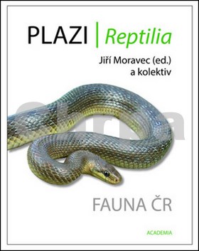 Plazi/ Reptilia